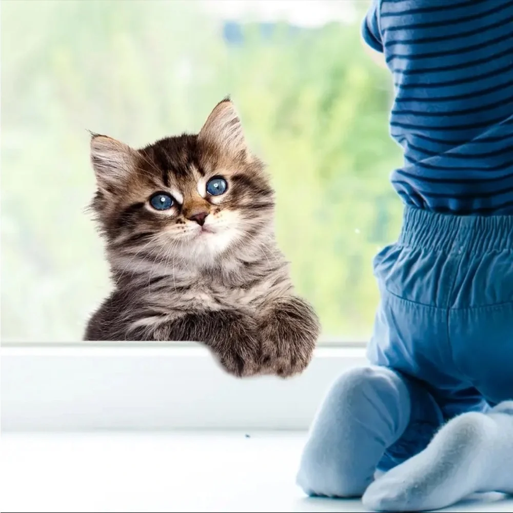 Cute Kitten Cat Window Decal Adorable Peekaboo Kitty Wall Sticker Home Decor
